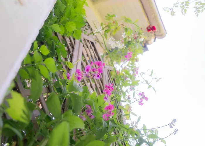 Schillhoern - Urlaub Mit Wasserblick Апартаменты