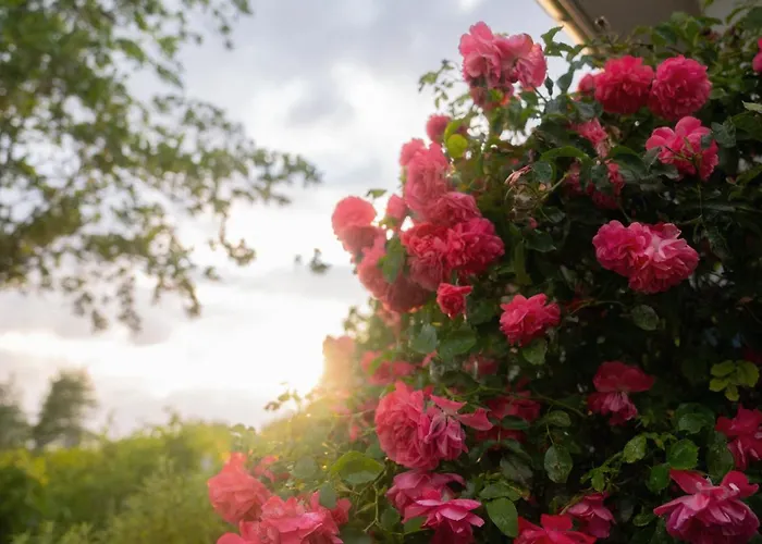 Lejlighed Schillhoern - Urlaub Mit Wasserblick