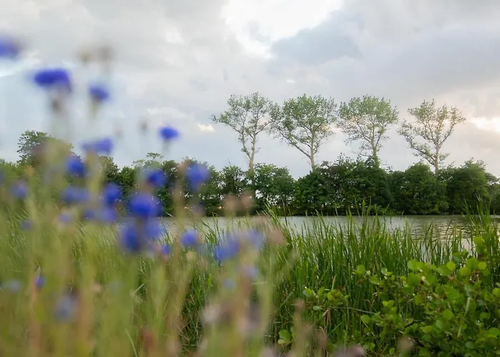 Schillhoern - Urlaub Mit Wasserblick Апартаменты